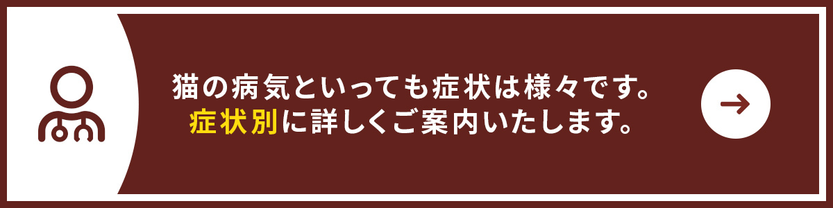 猫の症状別診断