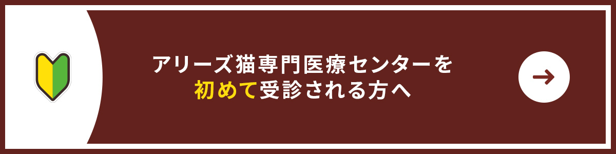 アリーズ猫専門医療センターを 初めて受診される方へ