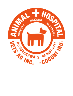 ココニイル動物病院