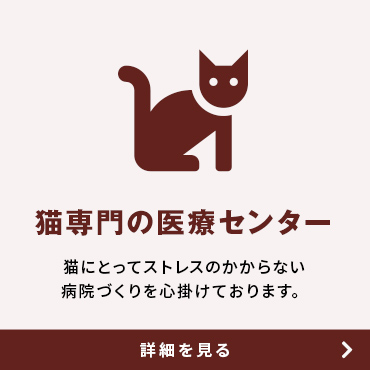 猫ちゃん専門としてストレスのかかならい治療を心掛けております