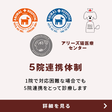 アリーズ動物病院のグループ院と連携して安心できる医療体制を提供します